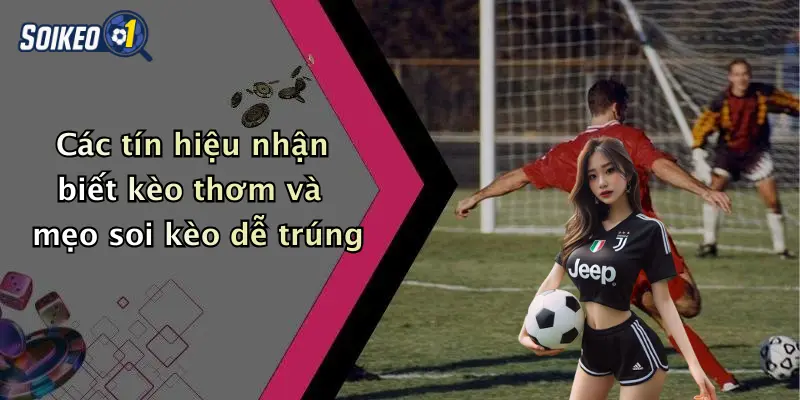 Các tín hiệu nhận biết kèo thơm và mẹo soi kèo dễ trúng