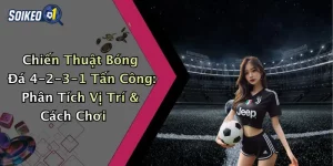 Chiến Thuật Bóng Đá 4-2-3-1 Tấn Công: Phân Tích Vị Trí & Cách Chơi