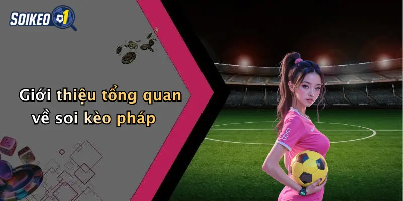 Giới thiệu tổng quan về soi kèo pháp