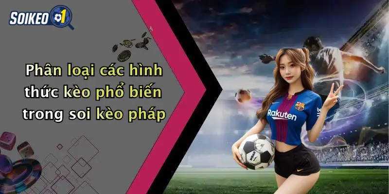 Phân loại các hình thức kèo phổ biến trong soi kèo pháp