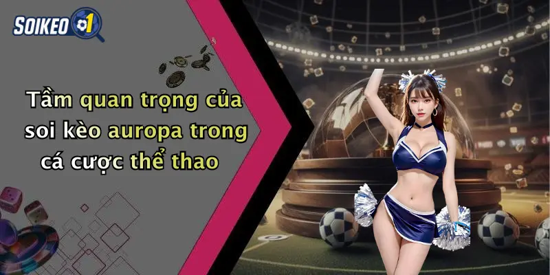 Tầm quan trọng của soi kèo auropa trong cá cược thể thao