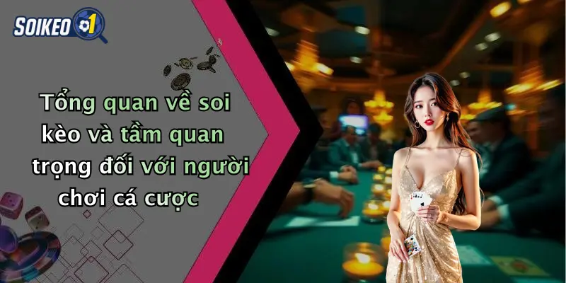 Tổng quan về soi kèo và tầm quan trọng đối với người chơi cá cược
