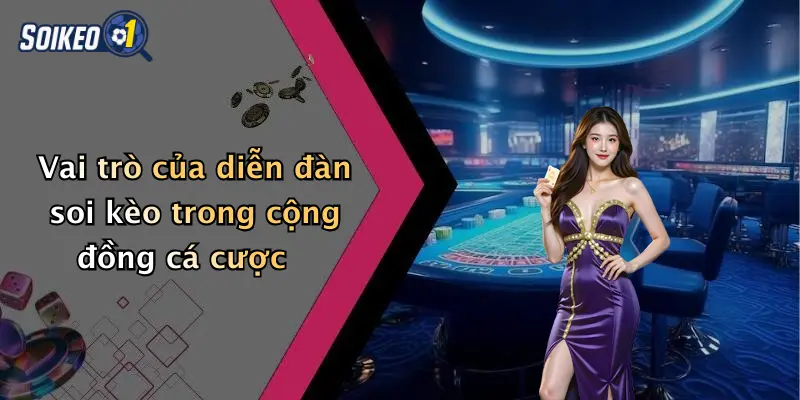 Vai trò của diễn đàn soi kèo trong cộng đồng cá cược
