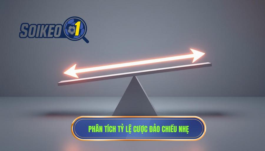 Hiểu rõ bản chất khi tỷ lệ cược có xu hướng đảo chiều nhẹ