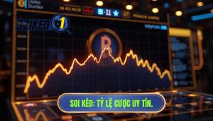 Tỷ lệ cược có xu hướng đảo chiều nhẹ: Bí quyết soi kèo thắng lớn