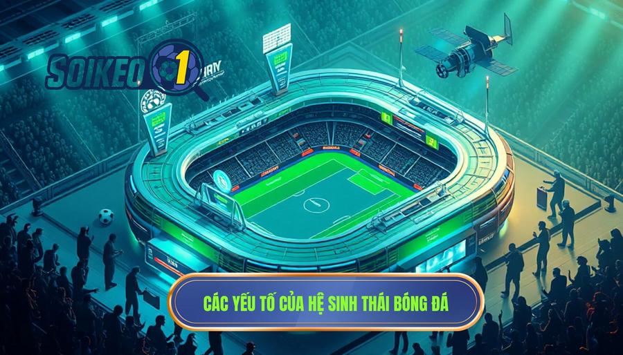 Các yếu tố của hệ sinh thái bóng đá
